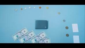WDR Billfold - Pro